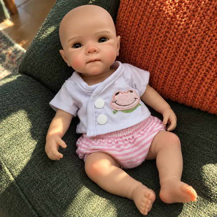 Photograph of poppy in a home setting